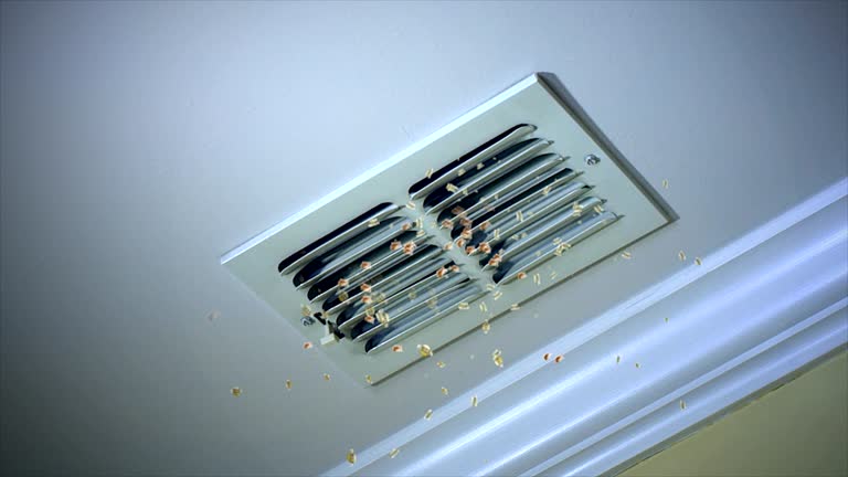 Best Professional Duct Cleaning Services  in Hondo, TX