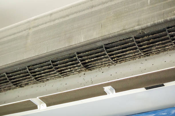 Best Local Air Duct Cleaning Services  in Hondo, TX